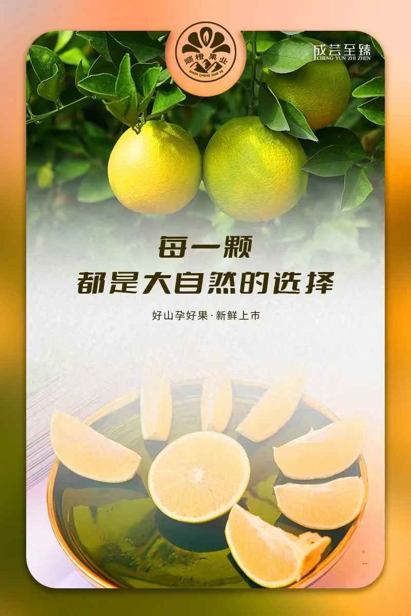 从哀牢山到全国银奖，这就是他的“橙”功故事！ 第 10 张