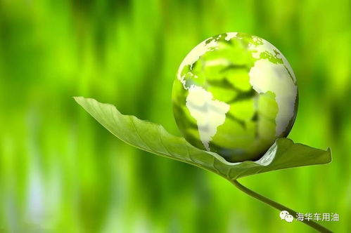 權(quán)威部門(mén)詳解環(huán)保稅征收與潤(rùn)滑油行業(yè)環(huán)保監(jiān)測(cè)的未來(lái)方向