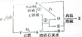 硅酸鹽化學轉化路徑分析